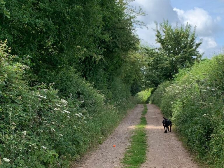 Moor Lane