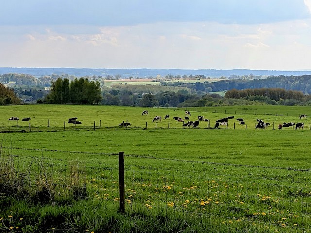 Countryside as it should be