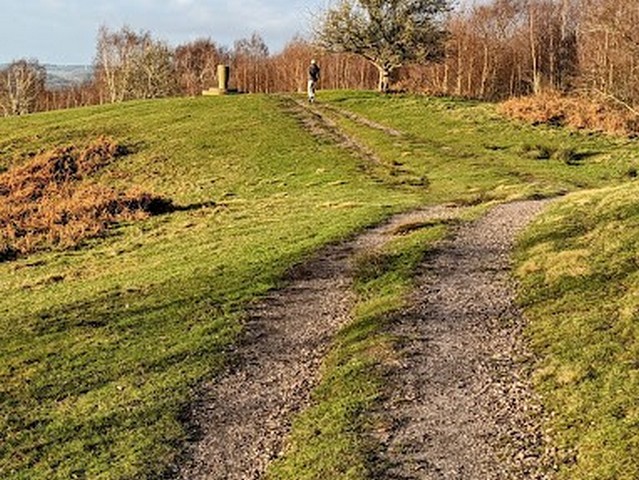 Downs bank