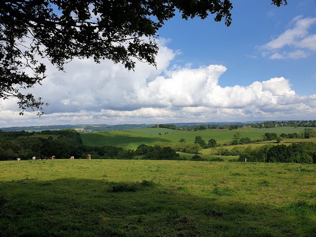 View from Downs bank
