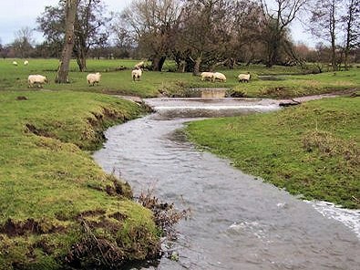 Gayton Brook