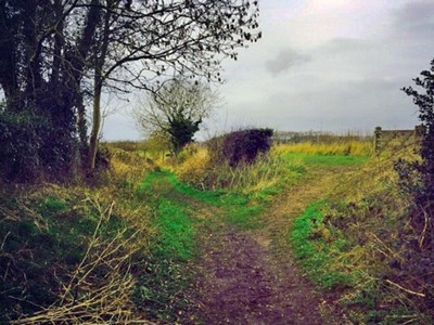 Fitzherbert-Walk-01