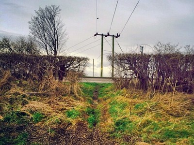 Fitzherbert-Walk-03