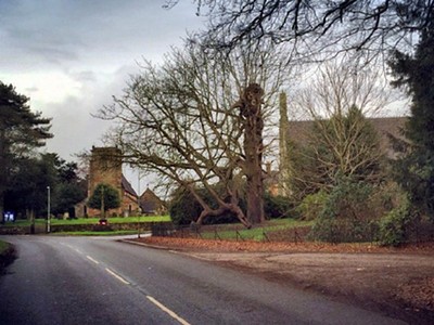 Fitzherbert-Walk-12