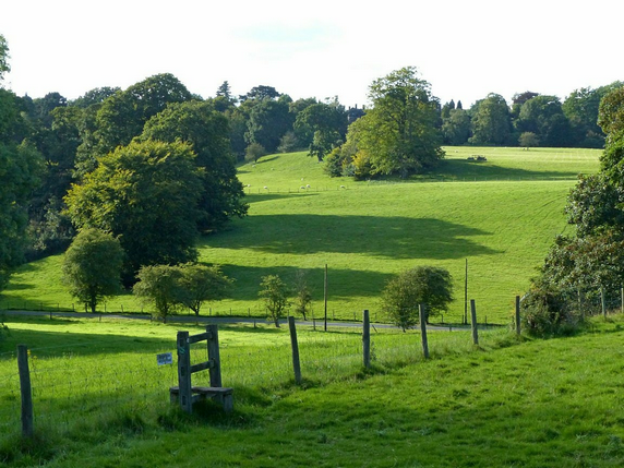 In-Sandon-Park