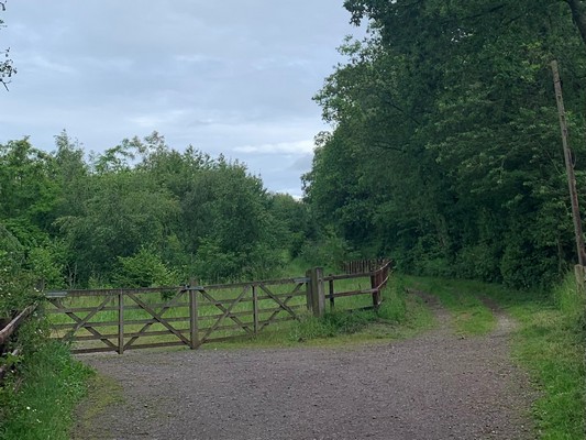 Path through Shelomore Woods