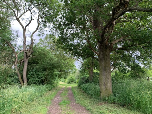 Path to Norbury Manor