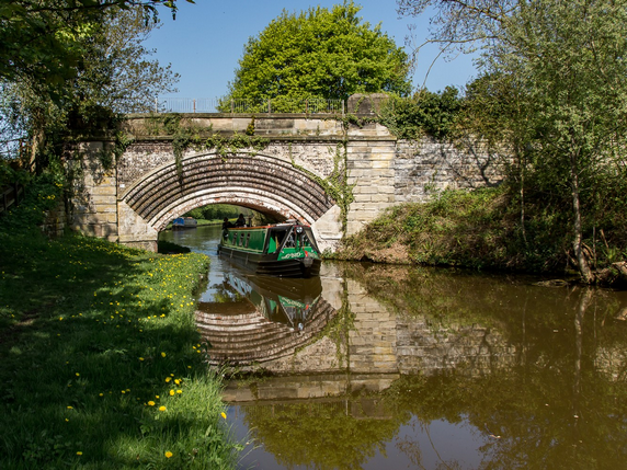 Salt-Bridge