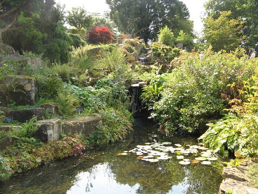 Water garden