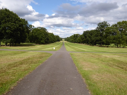 Upper Avenue, Chillington Park, by Philip Halling, CC BY-SA 2.0