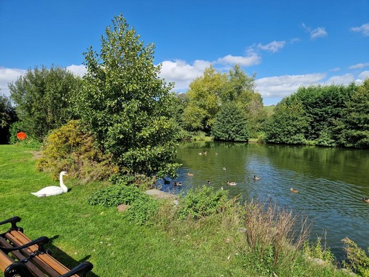 Burston Village Pond